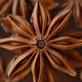 Star anise spice fruit, close up