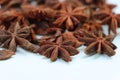 Star anise spice fruits and seeds isolated on white background closeup Royalty Free Stock Photo