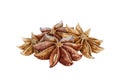 Star anise spice fruits with seeds watercolor illustration. Close up dry chinese badian spice or Illicium verum - organic healthy