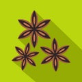 Star anise spice icon, flat style