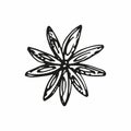 Star anise spice isolated on white background. Hand drawn vector illustration in doodle sketch. Close up engraved spice for