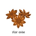 Star anise spice