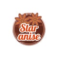 Star Anise Spice. Vector Illustration.
