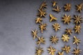 Star anise top view copy space on the left on slate