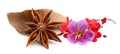 Star anise on a white background.