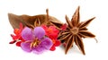 Star anise on a white background.