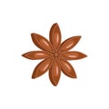 Star anise on white background vector