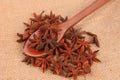 Star anise, wooden spoon Royalty Free Stock Photo