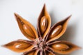 Star aniseed Royalty Free Stock Photo