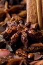Star aniseed and cinnamon sticks Royalty Free Stock Photo