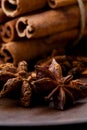 Star aniseed and cinnamon sticks Royalty Free Stock Photo