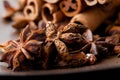Star aniseed and cinnamon sticks Royalty Free Stock Photo