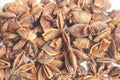 Star anises dried spice fruits Royalty Free Stock Photo