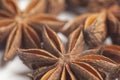 Star anises dried spice fruits Royalty Free Stock Photo