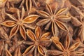 Star anises dried spice fruits Royalty Free Stock Photo