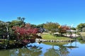 Beautiful Koraku-en Garden of Okayama City, Japan