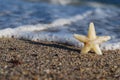 The star on the beach