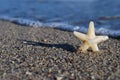 The star on the beach