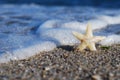 The star on the beach