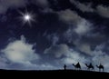The Star of Bethlehem on a snowy night Royalty Free Stock Photo