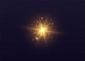 Star burst with sparkles, lens flare with particles, golden star explosion. Shining sun with fairy dust.