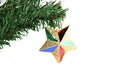 Star of colorful hanging on branch Christmas tree.