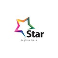 Star Company Logo Vector Design Illustration