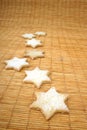 Star cookies on doormat Royalty Free Stock Photo