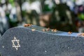 Star of David on the tombstone