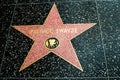 Star dedicated to the actor Patrick Swayze on the Walk of Fame in Hollywood