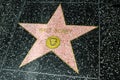 Star dedicated to the producer Walt Disney on the Walk of Fame in Hollywood