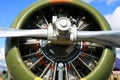 Star engine on a old war plane