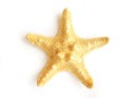 Star fish