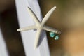 Star fish beach wedding decoration detail. Royalty Free Stock Photo