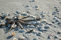 Star fish on the sand Royalty Free Stock Photo