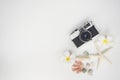 Star fish and sea animal on wooden white background, soft focus Royalty Free Stock Photo