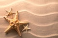 Star fish or sea star in the rippled beach sand Royalty Free Stock Photo