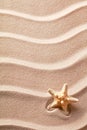 Star fish or sea star in the rippled beach sand Royalty Free Stock Photo