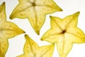 Yellow star shaped flowers