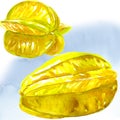 Star fruit - carambola isolated