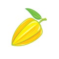 star fruit icon vector element design template