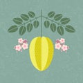 Star fruit illustration. Ripe carambola with leaves and flowers on shabby background.