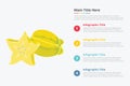 Star fruit infographics with some point title description for information template -