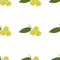Star Gooseberry Fruit. Seamless Vector Patterns