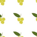 Star Gooseberry Fruit. Seamless Vector Patterns