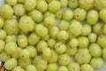 Star gooseberry fruit