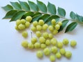 Star gooseberry (phyllanthus acidus) on white background. Selective focus.