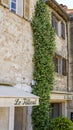 Star jasmine climbing three stories in Saint Paul de Vence, Provence, France Royalty Free Stock Photo