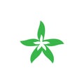 star leaf ecology concept vector icon of go green