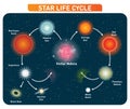 Star life cycle steps from stellar nebula to red giant to black hole. Vector illustration diagram.